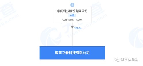 掌閱科技海南新設子公司 布局科技中介服務，注冊資本100萬元
